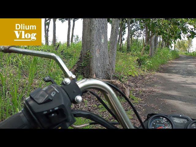 Each tree has a QR code