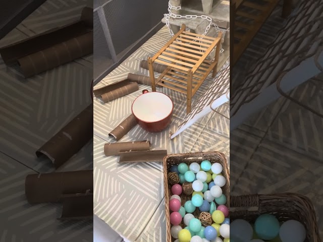 Indoor Snake Enrichment Playpen