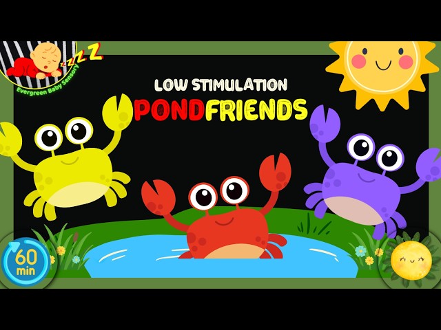 Baby Sensory Video | Cute Pond Friends in Nature | Calm Visuals for Babies | Soothing Music