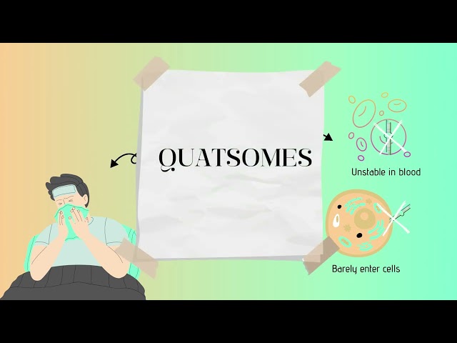 Discovering de world of quatsomes in the ICMAB