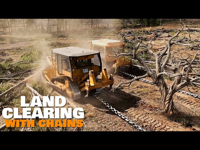 Why Farmers Clear Land with Bulldozers & Chains