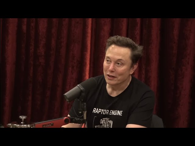 Why Elon Musk Believes Al Could Destroy the World