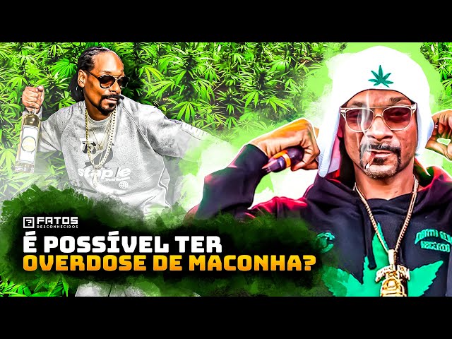10 fatos que você não sabia sobre a maconha!