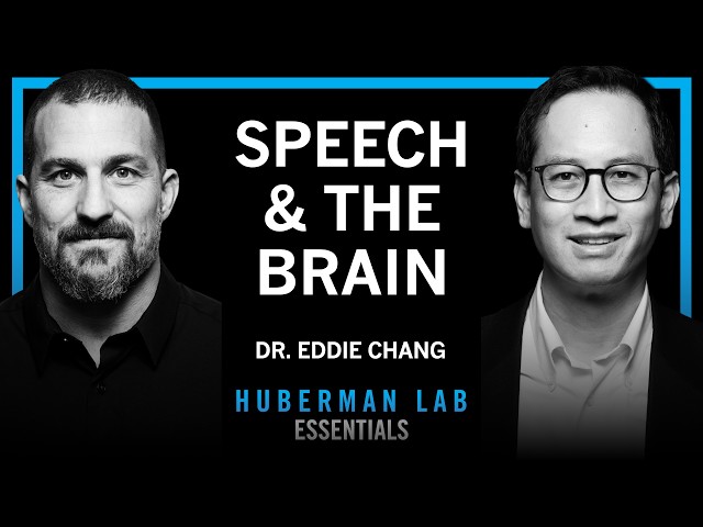 Essentials: The Science of Learning & Speaking Languages | Dr. Eddie Chang