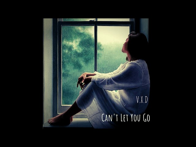 V.X.D - Can't Let You Go