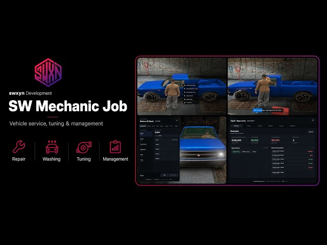 SW Mechanic Job | Advanced Mechanic & Tuning System