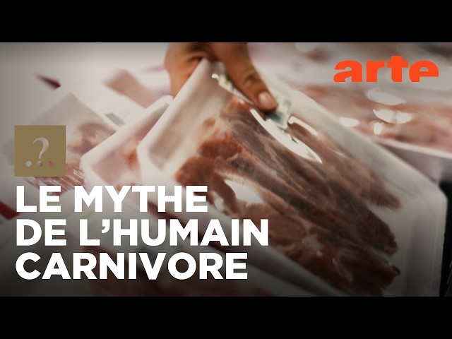 Est-il vrai que nous avons toujours mangé de la viande ? | Est-il vrai que...? | ARTE