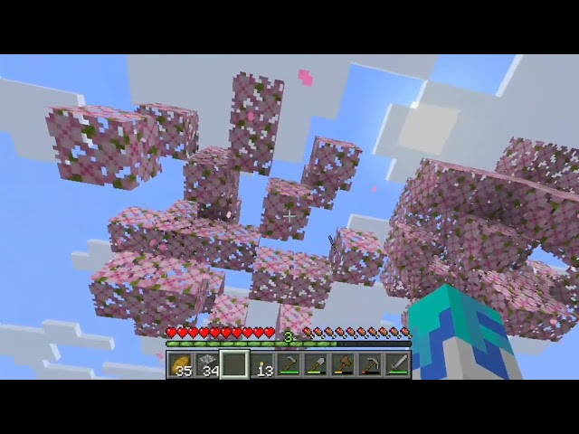 🐊MARATON SERIE MINECRAFT JAVA🐊
