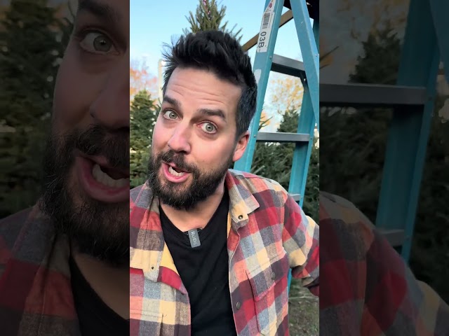 Church Christmas Tree Salesman