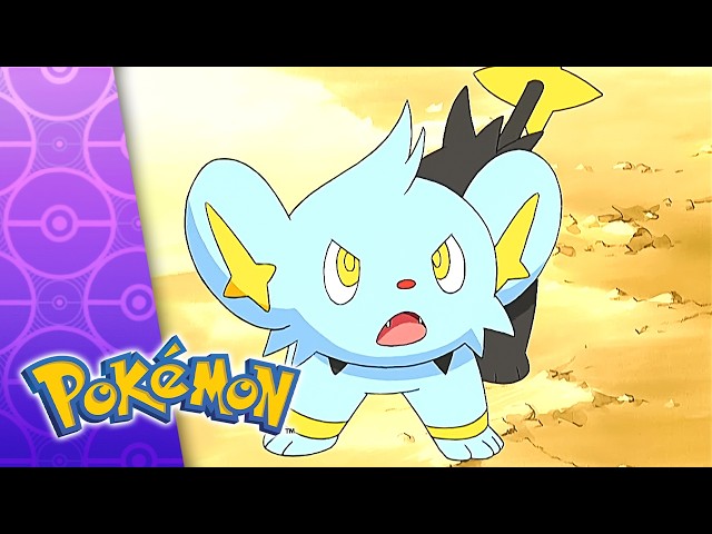 ¡No Pueden Con Nosotros! | CAPÍTULO COMPLETO DE POKÉMON 10 | Temporada 10
