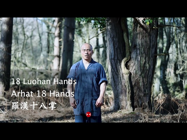 Shaolin 18 Louhan Hands | Arhat 18 Hands | Kung Fu 18 Palms | Shaolin Kung Fu | 少林罗汉18掌