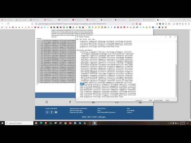 Constructing Phylogenetic tree by using MEGA. Phylogenetic tree from FASTA file. #Ekram