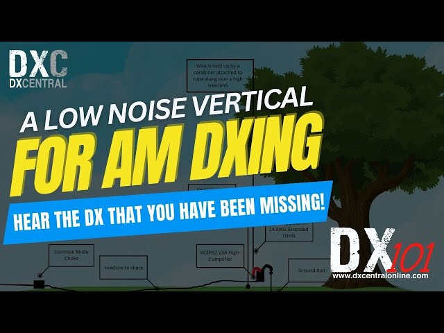 DX 101 | A Low-Noise Vertical Antenna for AM DX #amdx #mwdx