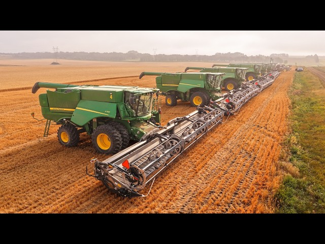 Racing Against Rain During North Dakota Wheat Harvest