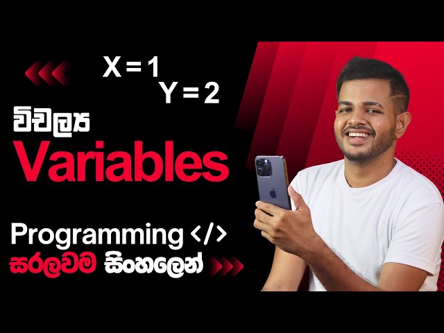 Variables Explained | සරලව සිංහලෙන් Programming Concepts