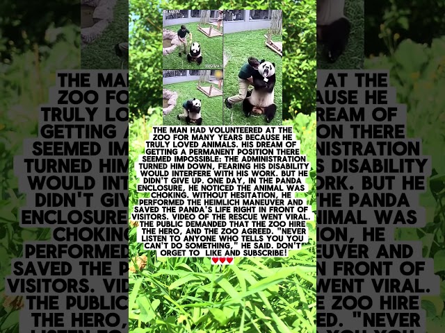 A VOLUNTEER SAVED A PANDA