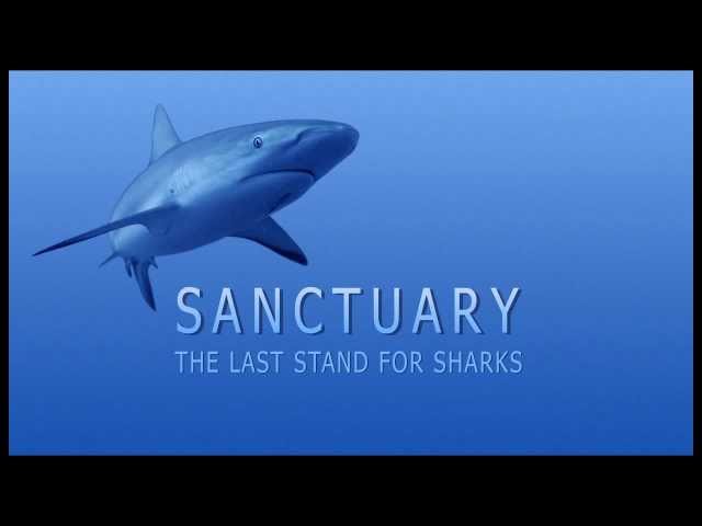 Sanctuary: The Last Stand for Sharks Trailer | Pew