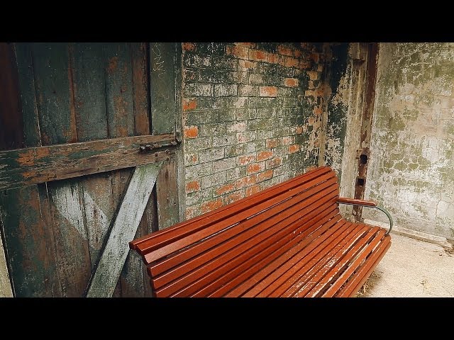 Episode 3 − Know Thyself?: The interview illusion