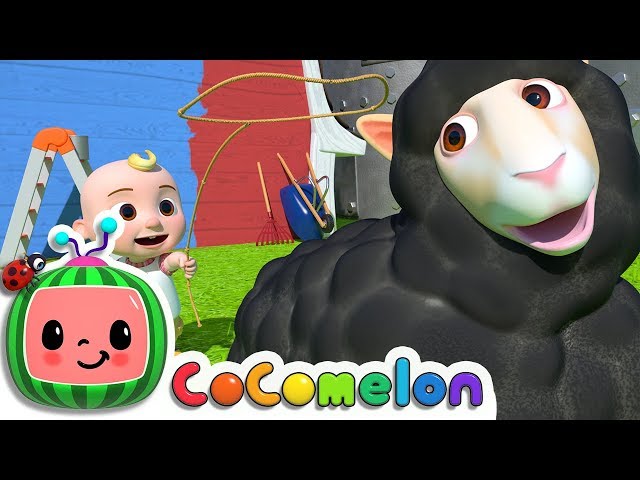 Ovejita negra | CoComelon Canciones Infantiles y Rimas