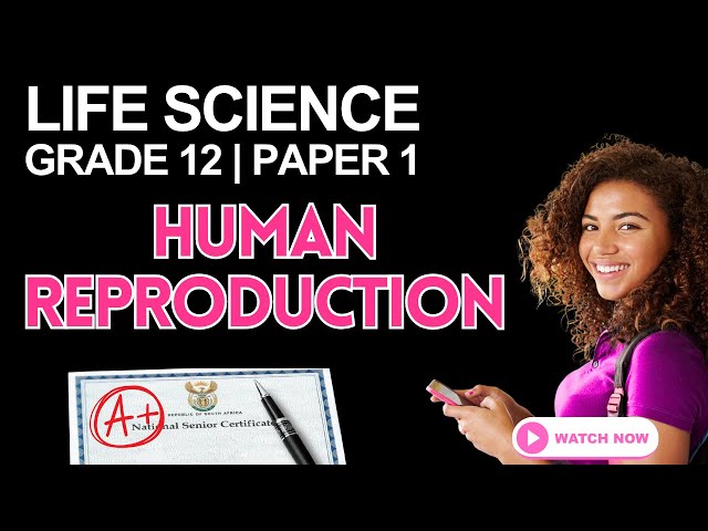 Life Science | Grade 12 Paper 1 Exam Revision | Human Reproduction (NSC/CAPS)