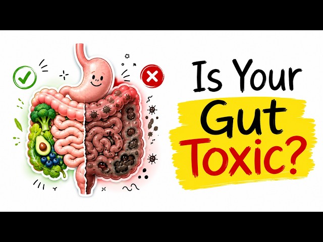 Gut Health Explained in 5 Mins { No Fluff }