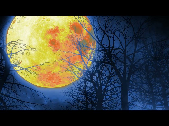 Full Moon in Fog Relaxing Halloween 4K Background Loop Night Sky