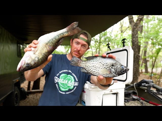 Crappie vs Bass Catch Clean & Cook