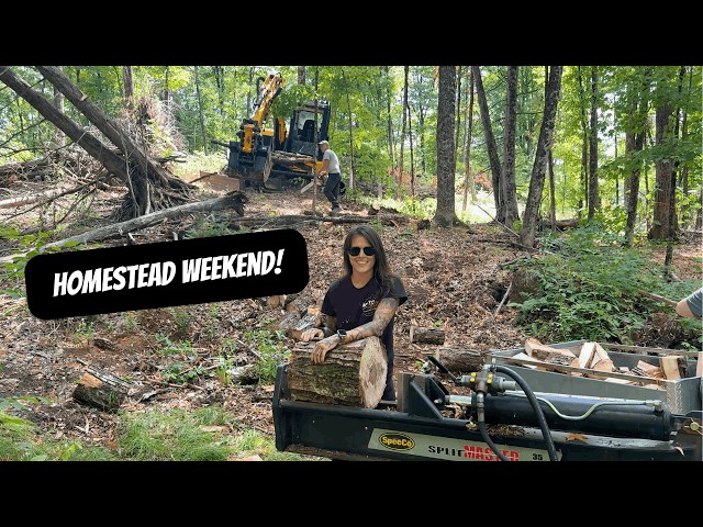 Homestead Weekend |Hunting Prep & Processing Chickens