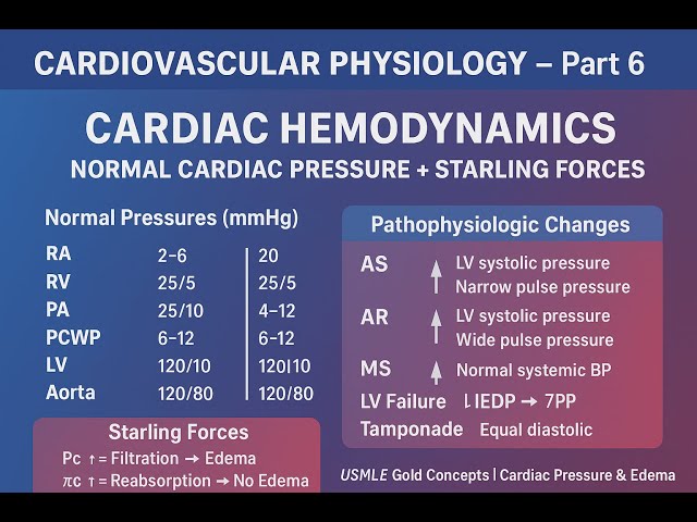 CARDIAC HEMODYNAMICS Part 5 :  NORMAL HEART PRESSURE AND STRALING FORCE  // USMLE STEP 1 podcast