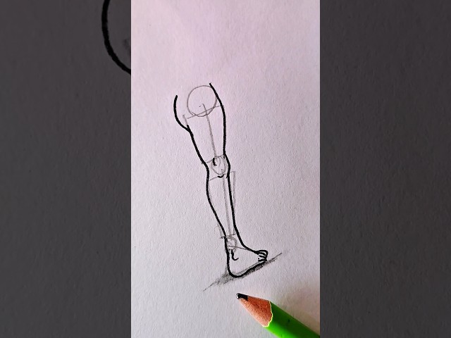 Layer by Layer: The Ultimate Anatomy Breakdown ⏱️ #foryou #art #drawing #tutorial #sketch #easyart