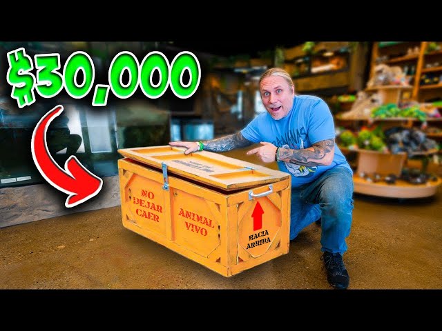 ¡Compré $30,000 USD de serpientes! ¡Acaban de llegar!