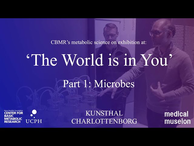 MICROBES – Metabolic science on display in the 'The World is in You'