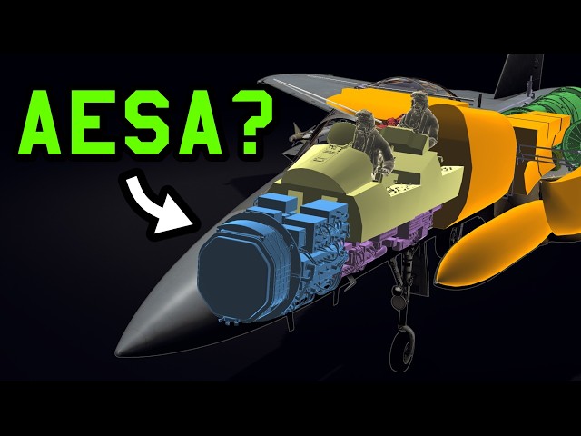 [Devblog] 80+ New X-Ray Models