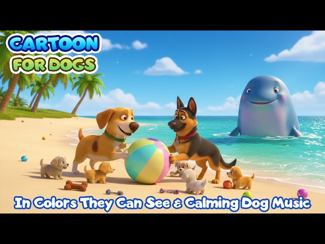 24 Hours Dog Cartoon 🌈🐶Blue & Yellow in Colors Dogs Can See 🐕 Cartoons for Dogs to Watch | DOG TV
