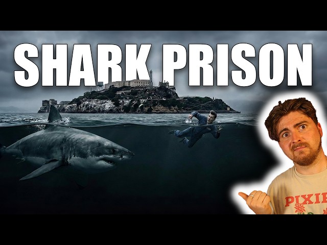 Could You Really Swim Away From Alcatraz? The Shark Reality