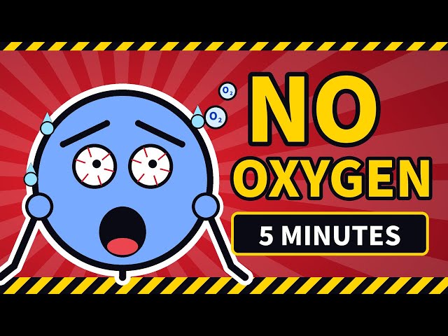 What If Oxygen Disappeared For 5 Minutes. 