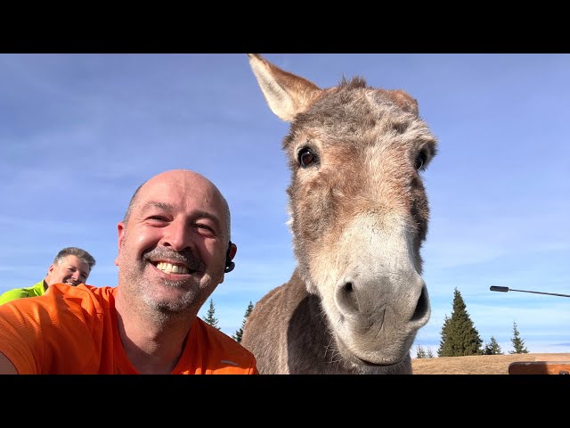 Insta 360 Piatra Mare - Carrefour 