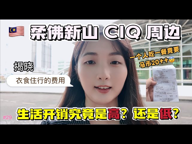 #29 [VLOG} 生活在🇲🇾马来西亚柔佛新山 第一关卡 CIQ 附近的日常开销｜2025 JB 物价 - 衣食住行 究竟是贵？还是便宜呢？
