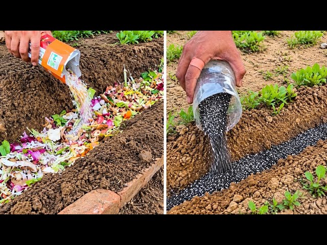 Dead Soil? Fix It NOW! This Ancient Method Creates Microbe-Rich Soil in Days