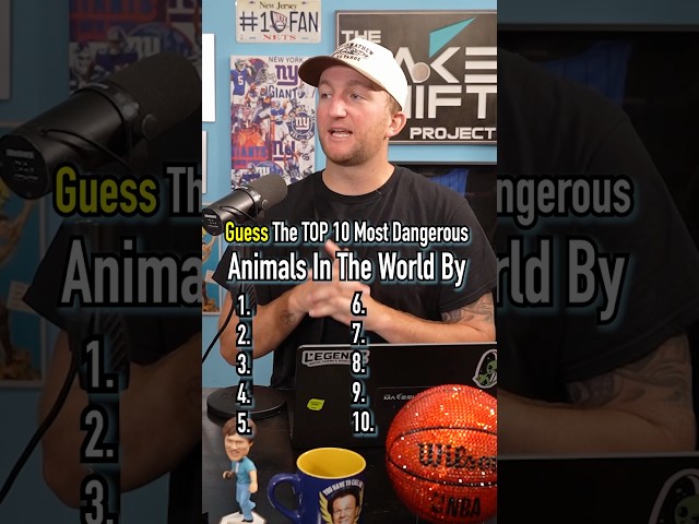 Guess The Top 10 Most Dangerous Animals In The World By Annual Deaths! #shorts #animals #dangerous