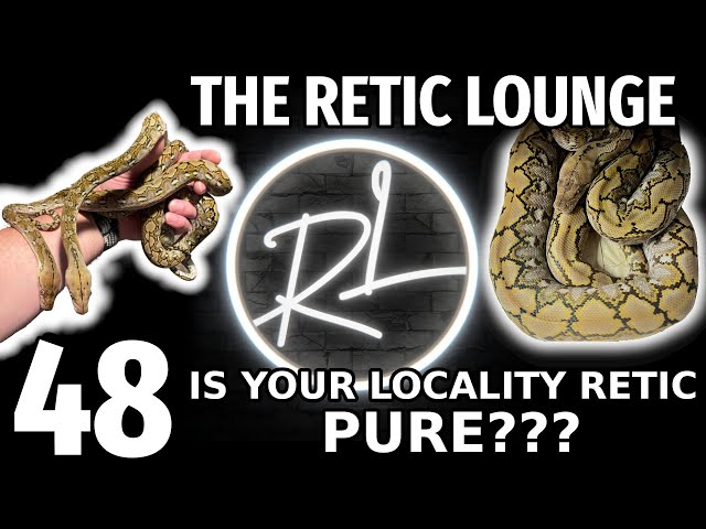What Is A Pure Locality Reticulated Python| The Retic Lounge #48