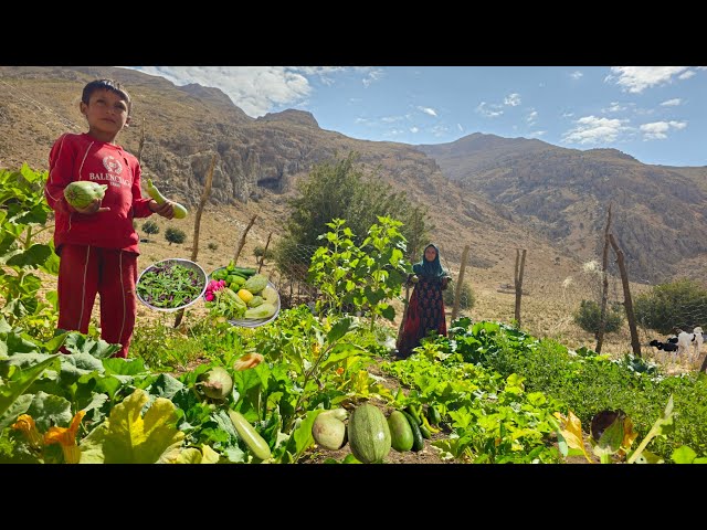 Nomadic Life:Nomadic Journey Through Dangerous Mountains🏔️| Nomadic Girls Cook a Delicious Dinner🍲