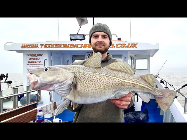 Cod Fishing in the Bristol Channel - Charter boat fishing from Minehead | The Fish Locker