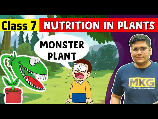 Nutrition in Plants | Class 7 Science | class 7 science chapter 1 | Nutrition in Plants Full Chapter