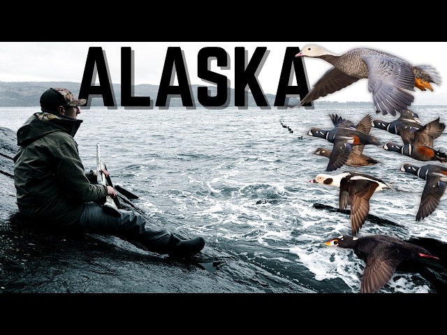 BEST SEA DUCK HUNTING IN THE WORLD | "Tides of Kodiak" - Duck Hunting in Alaska