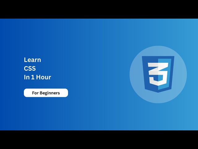 CSS Basics in 1 Hours
