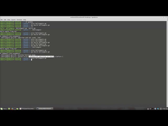 Go(golang) Tutorials - Concepts and Conventions