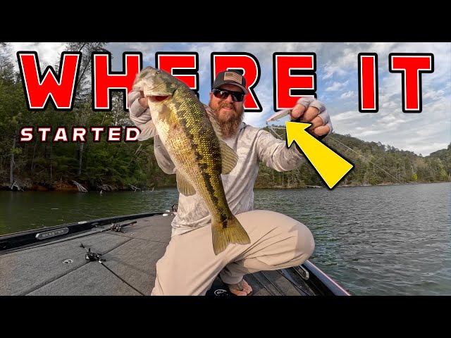 This Bait Changed My Fishing Forever! ( And Its EASY To Use! )