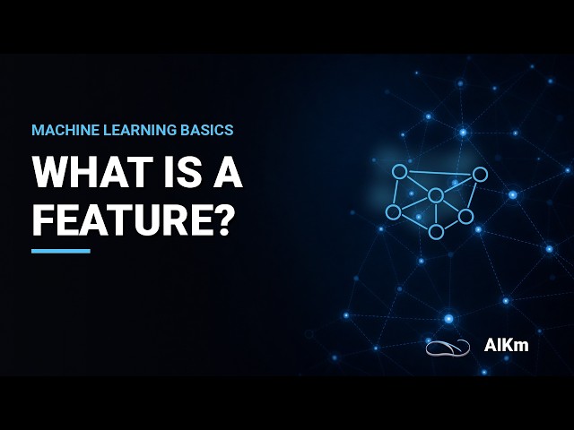What Is a Feature in Machine Learning? The Anatomy of a Feature | AIKm