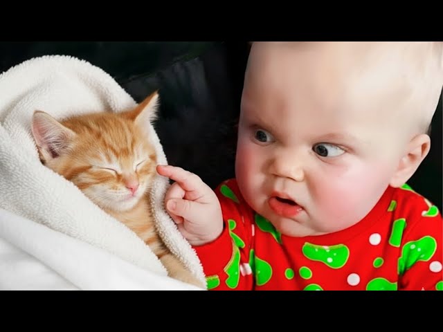 Best Reactions of Funniest Baby and Cat | BABY BROS